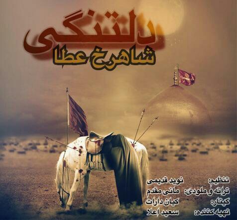 شاهرخ عطا دلتنگی